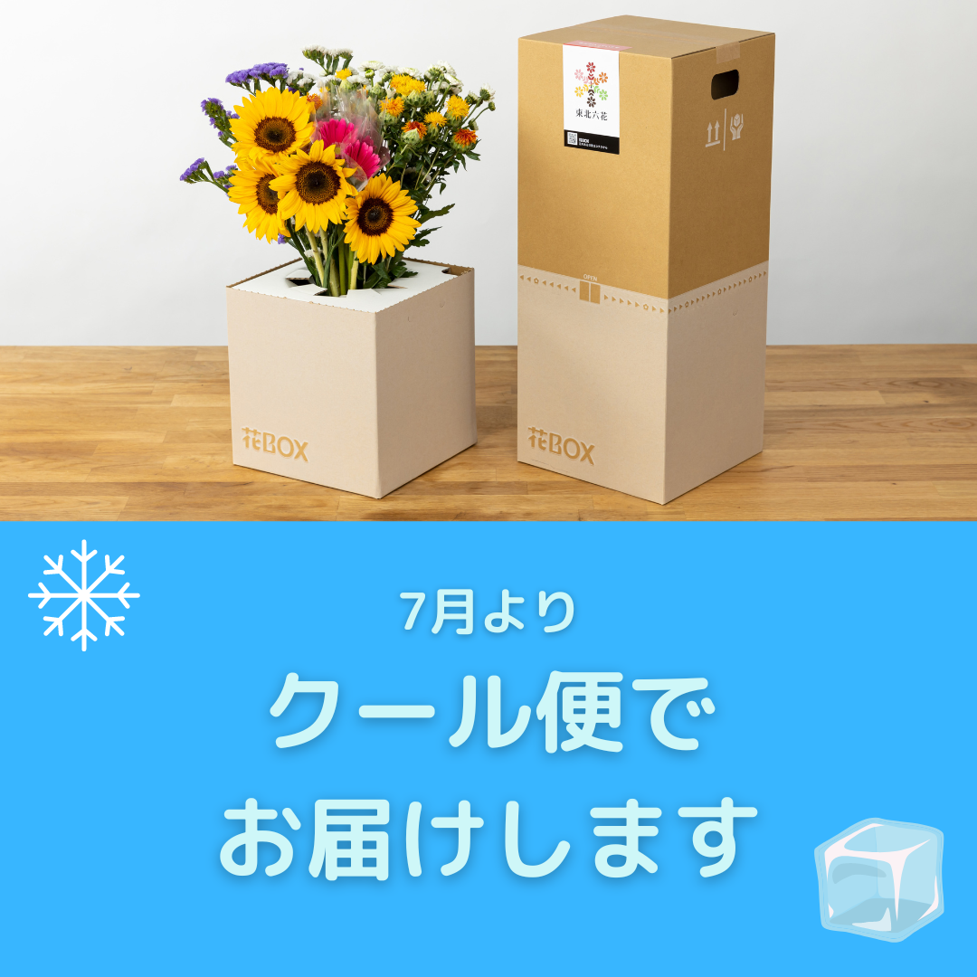 クール便対応のお知らせ 東北六花
