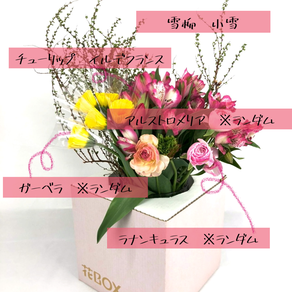 3 12 金 発送の商品 東北六花