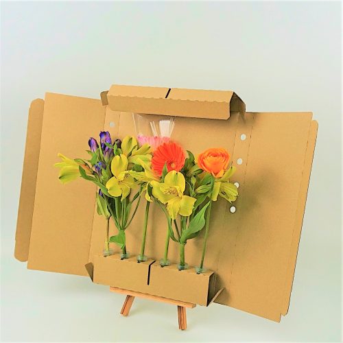 11/10(木)発送の商品