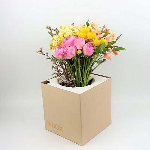 2/28(火)発送の商品
