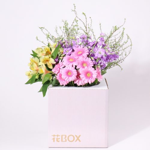 1/18(月)発送の商品