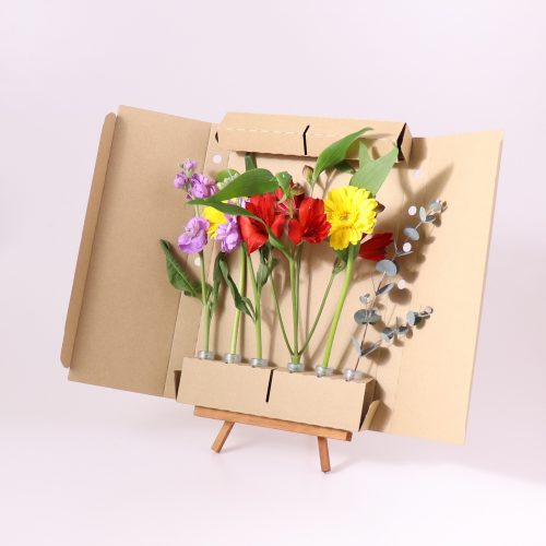 1/20(水)発送の商品