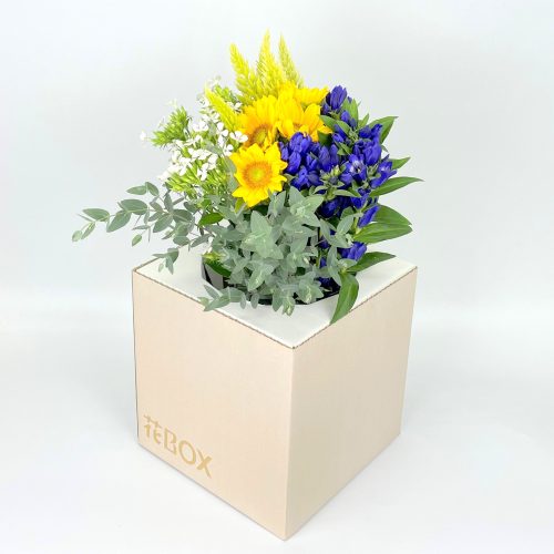 9/7(火)発送の商品