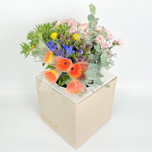 10/14(木)発送の商品