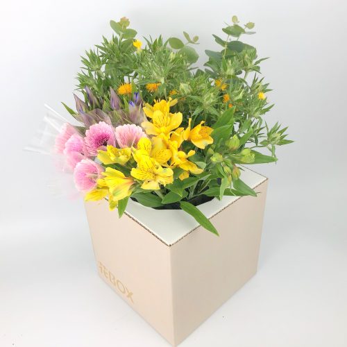 10/16(土)発送の商品