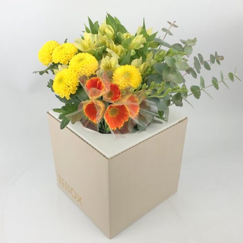 1/8(土)発送の商品