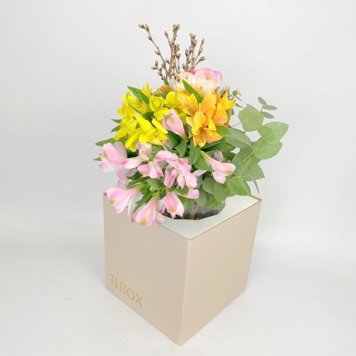 1/25(火)発送の商品