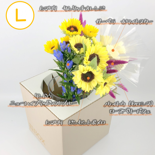 8/19(木)発送の商品