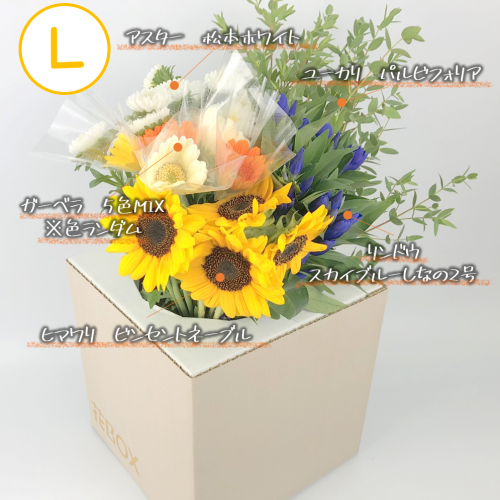 8/24(火)発送の商品