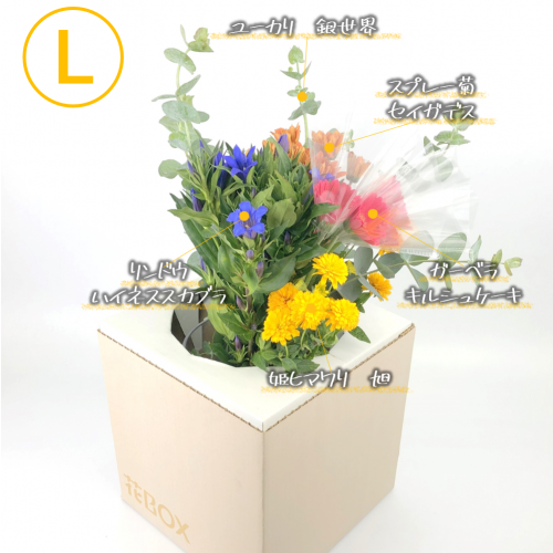 9/16(木)発送の商品