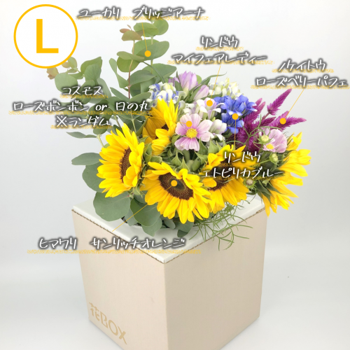 9/18(土)発送の商品