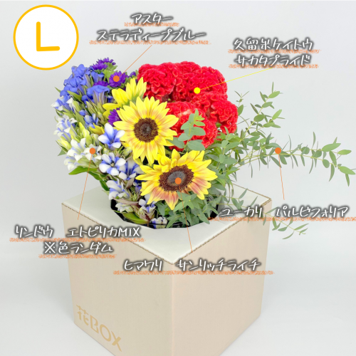 9/23(木)発送の商品