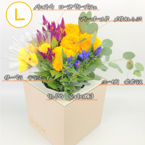 9/25(土)発送の商品