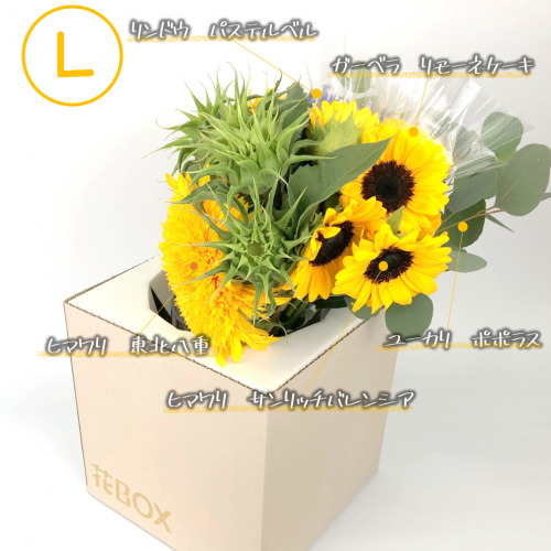 8/5(木)発送の商品