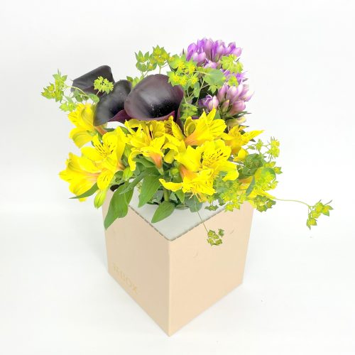 10/12(火)発送の商品