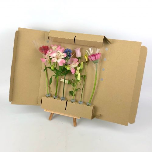 5/5(木)発送の商品