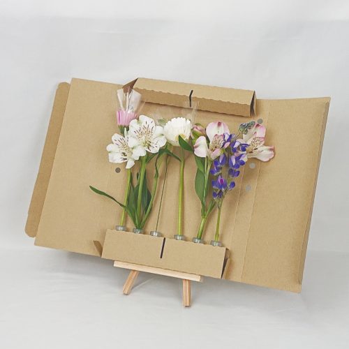 5/6(木)発送の商品